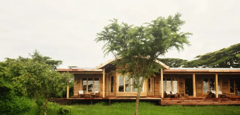 Entamanu Ngorongoro