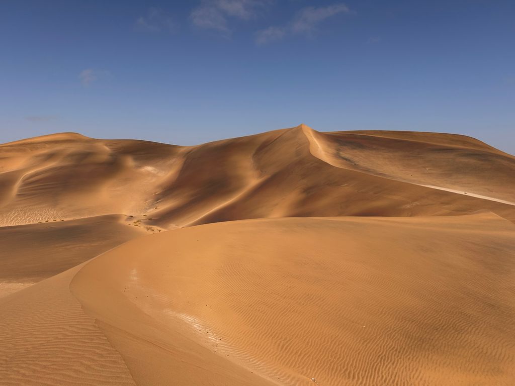 Golden sand dunes under clear blue skies in Swakopmund, Namibia.