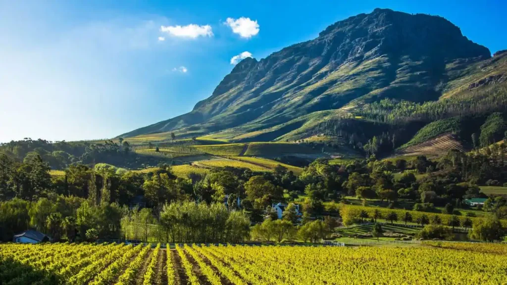 Cape Winlands and mountin, south africa